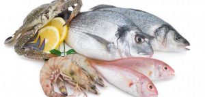 تفسير حلم السمك