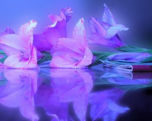 رؤية الورد في الحلم