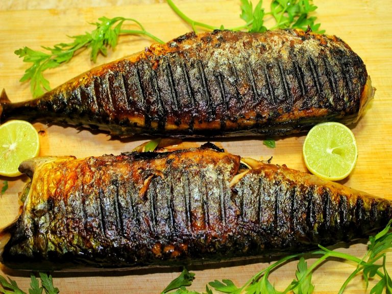 تفسير حلم شواء السمك