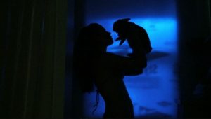 تفسير الأرنب في المنام