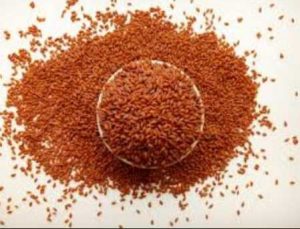 ما هي فوائد حب الرشاد للقولون