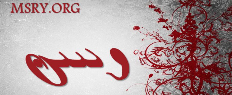 معنى اسم وسن وصفاتها