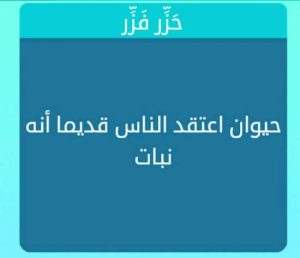 حيوان اعتقد الناس قديما انه نبات