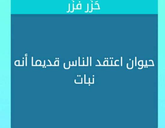 حيوان اعتقد الناس قديما انه نبات