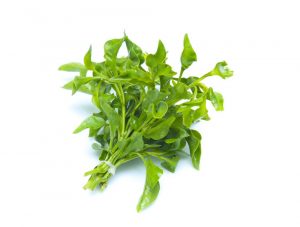 فوائد خلطة الجرجير للشعر