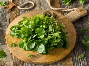 تعرف على اهم خلطات الجرجير للشعر