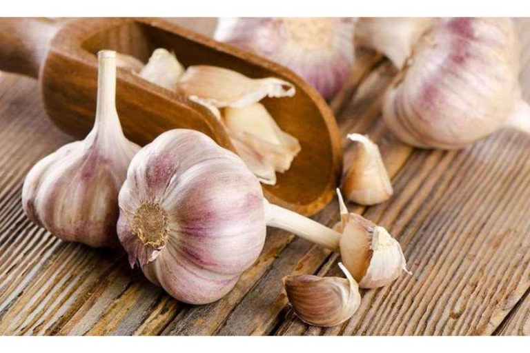 رؤية الثوم في المنام