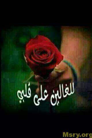رسائل حب صور مكتوب عليها للغالين على قلبى رسايل حب رسائل حب 2017 مسجات حب