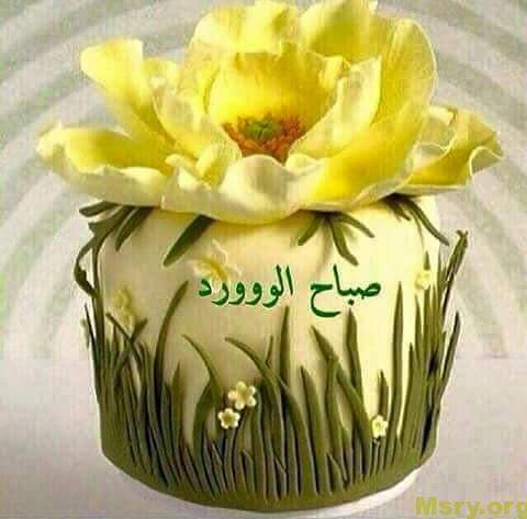 رسائل حب صور مكتوب عليها صباح الووووورد رسايل حب رسائل حب 2017 مسجات حب