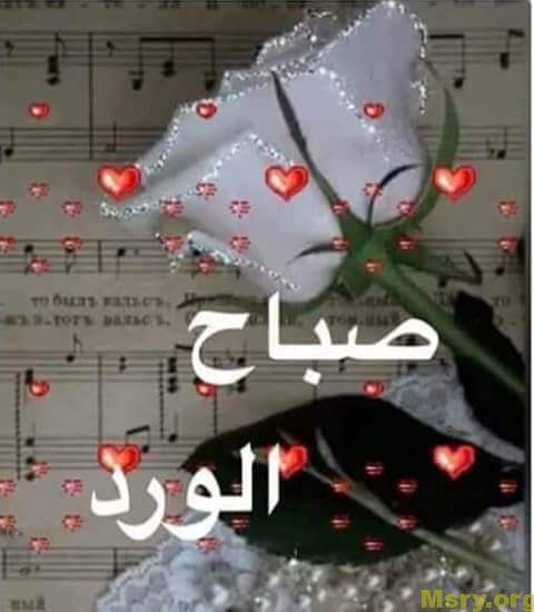 رسائل حب مكتوب عليها صباح الورد صباح الحب صباح الجمال رسايل حب رسائل حب 2017 مسجات حب