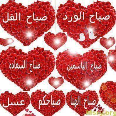 رسائل حب صور مكتوب عليها صباح الورد صباح الفل صباح الياسمين صباح السعاده صباح الهنا صباحكم رسايل حب رسائل حب 2017 مسجات حب