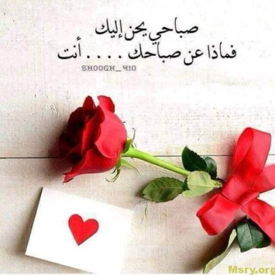 رسائل حب متكوب عليها صباحى يحن اليك فماذا عن صباحك انت رسايل حب رسائل حب 2017 مسجات حب a9016