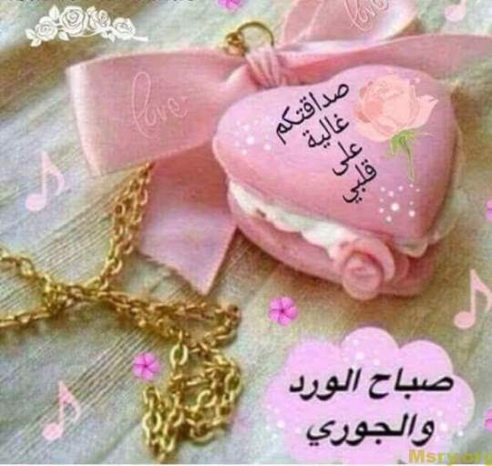 رسائل حب مكتوب عليها صباح الورد والجورى وصداقتكم غالية على قلبى رسايل حب رسائل حب 2017 مسجات حب a9028