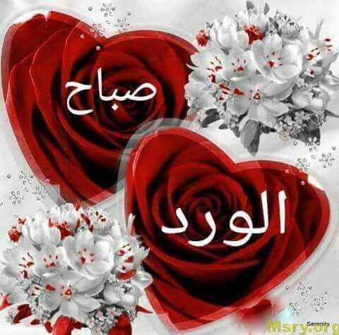رسائل حب مكتوب عليها صباح الورد واحلى مساء على الحلوين رسايل حب رسائل حب 2017 مسجات حب a9030