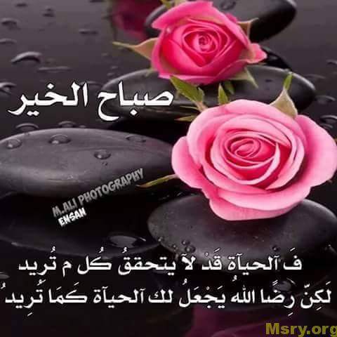 رسائل حب مكتوب عليها صباح الخير فالحياه قد لايتحقق كل ماتريد لكن رضا الله يجعل لك الحياه كما تريد رسايل حب رسائل حب 2017 مسجات حب a9042