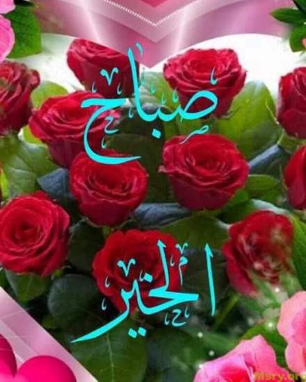 رسائل حب مكتوب عليها صباح الخير وعينى عليا لو كنت هبدا بالكلام هبدا منين ياقلبى رسايل حب رسائل حب 2017 مسجات حب a9048