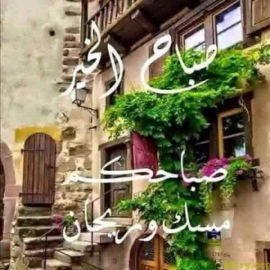رسائل حب مكتوب عليها صباح الخير صباحكم مسك ومرجان رسايل حب رسائل حب 2017 مسجات حب a9051
