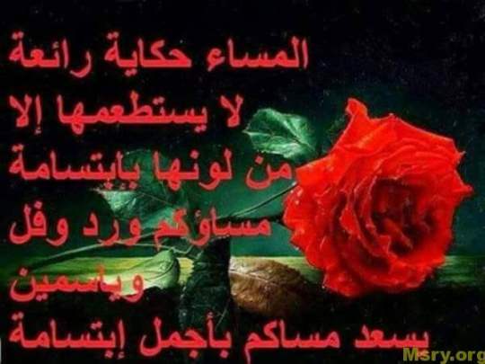 رسائل حب مكتوب عليها المساء حكايه رائعه لايستطعمها الا من لونها بإبتسامه مساؤكم ورد وفل وياسمين رسايل حب رسائل حب 2017 مسجات حب a9052