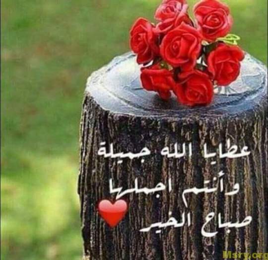 رسائل حب مكتوب عليها عطايا الله جميله وانتم اجملها صباح الخير رسايل حب رسائل حب 2017 مسجات حب a9053