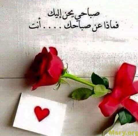 رسائل حب مكتوب عليها صباحى يحن اليك فماذا عن صباحك انت رسايل حب رسائل حب 2017 مسجات حب a9062