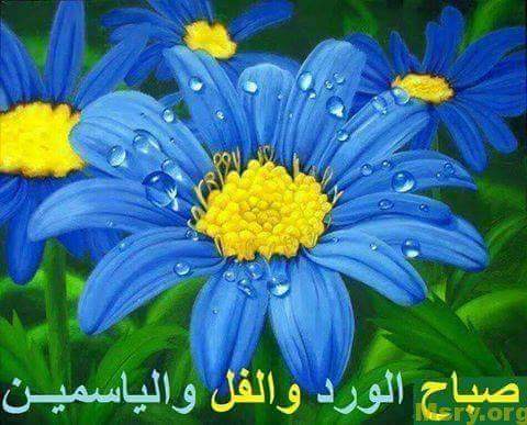 رسائل حب مكتوب عليها صباح الورد والفل والياسمين والسعاده رسايل حب رسائل حب 2017 مسجات حب a9066