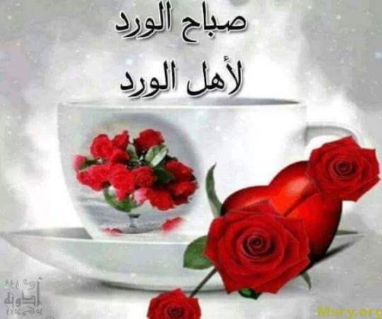 رسائل حب مكتوب عليها احلى صباح لاحلى ورد لأهل الورد رسايل حب رسائل حب 2017 مسجات حب a9068