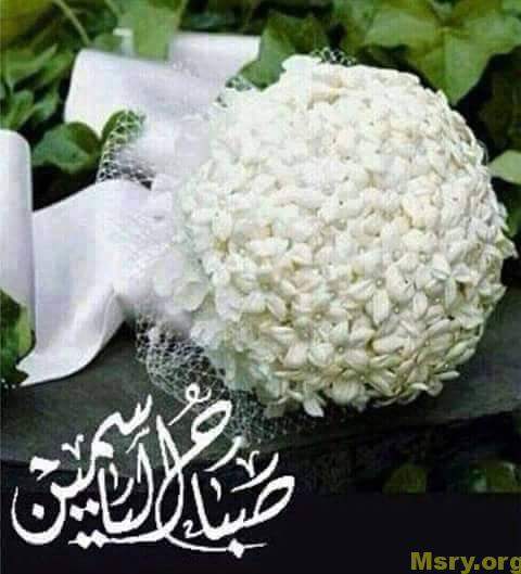 رسائل حب مكتوب عليها صباح الياسمين واحلى ورد وياسمين لأجمل ورد فى العالم رسايل حب رسائل حب 2017 مسجات حب a9069