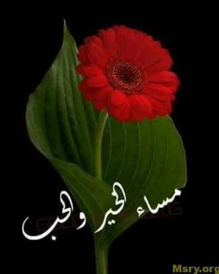 رسائل حب مكتوب عليها مساء الخير والحب والسعاده والاشراقه رسايل حب رسائل حب 2017 مسجات حب a9085