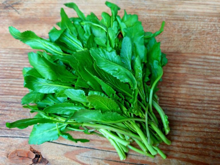 ما هي فوائد زيت الجرجير