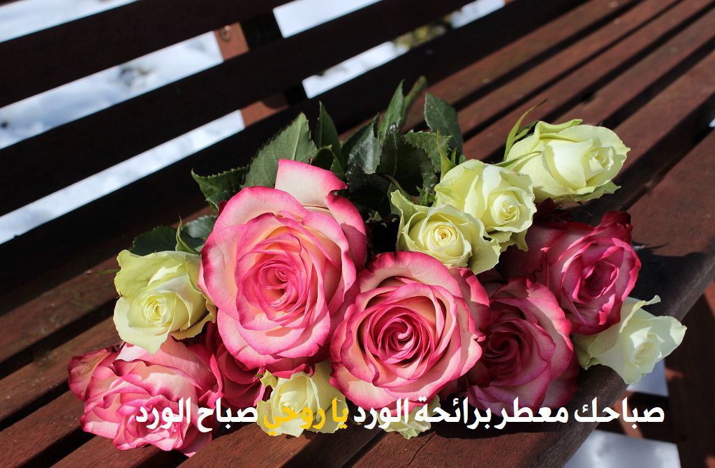  الورد يا روحي - موقع مصري