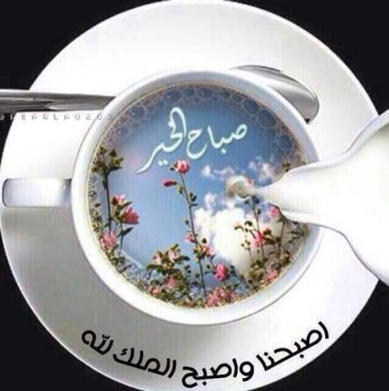  صباح الخير 059 1 - موقع مصري