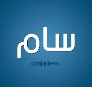 معنى اسم سام