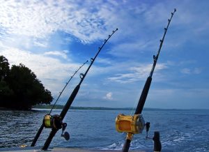 رؤية صيد السمك في المنام للعزباء