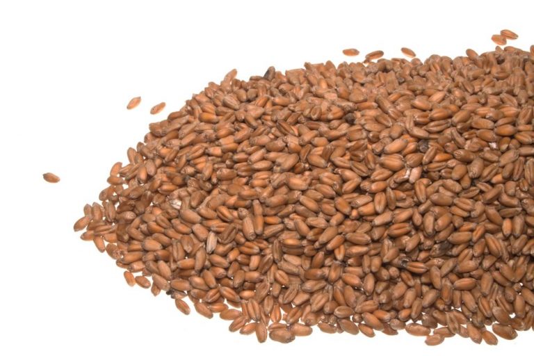 ما هي طريقة استخدام حب الرشاد للدوره