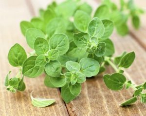 شرب المراميه والبردقوش للحمل