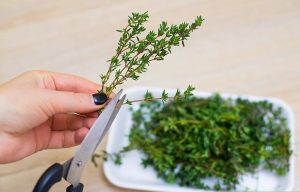 ما هي طرق عمل البردقوش