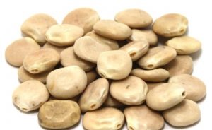 ما هي طريقة عمل الترمس المر