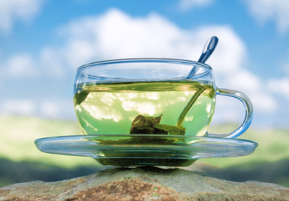 ما هي طريقة عمل الشاي الأخضر