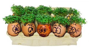 ما هي فوائد اكل الجرجير للشعر