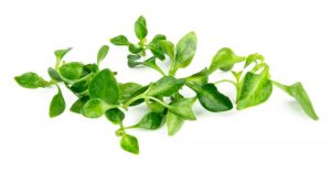 تعرف على فوائد اكل الجرجير يوميا