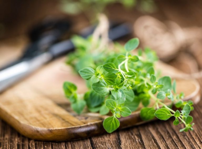 تعرف على فوائد البردقوش لتنحيف الجسم