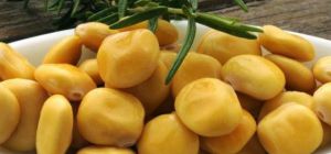 فوائد الترمس المر