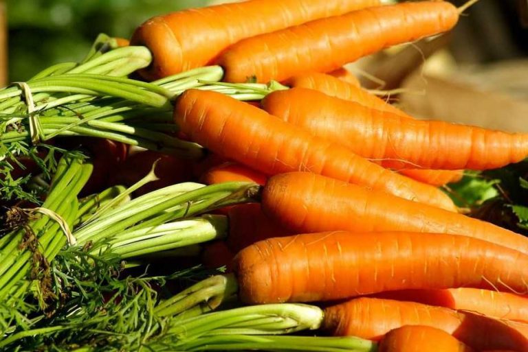 ما هي فوائد الجزر للجسم