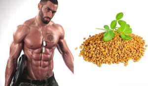 ما هي اهم فوائد الحلبة للرجال