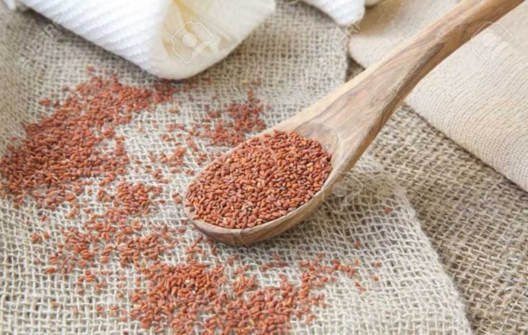 ما هي فوائد الرشاد للاطفال