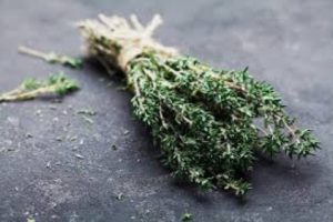 ما هي فوائد الزعتر للمعدة