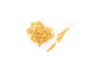 ما هي فوائد القمح المحمص