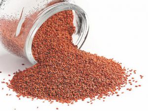 فوائد حب الرشاد