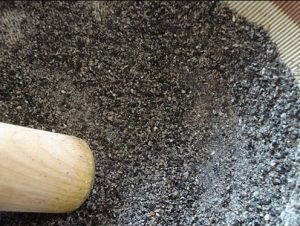 حبة البركة المطحونة للشعر