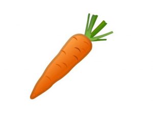 تعرف على فوائد زريعة الجزر